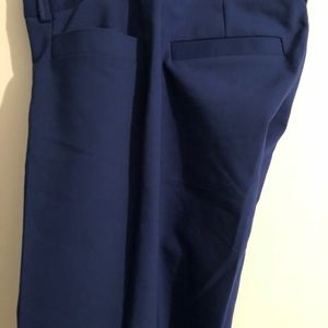 Express Blue Dress Pants